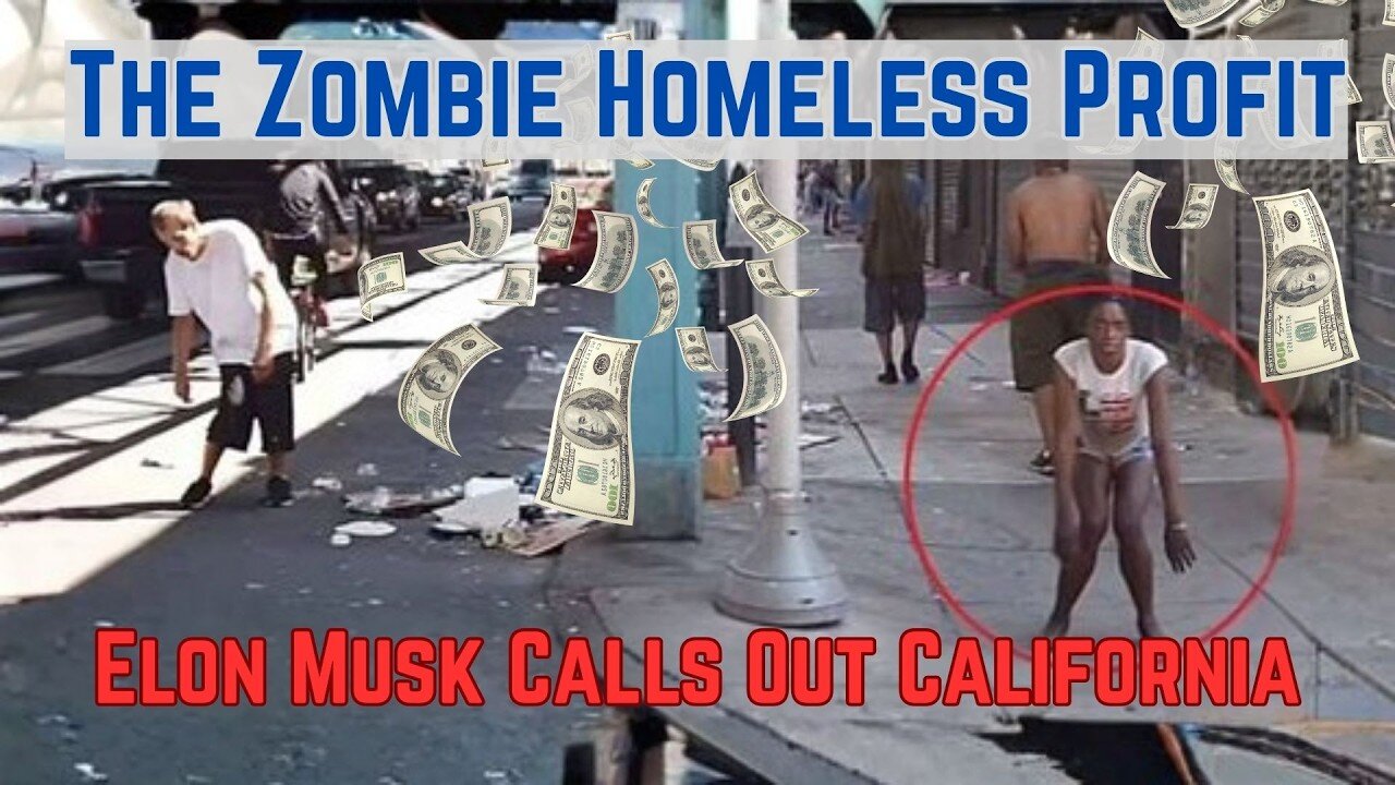 Elon Musk Exposes the 'Homeless Industrial Complex
