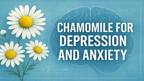 Ditch Meds? Chamomile’s SECRET Anti-Anxiety Power (9/10 Trials Prove It)