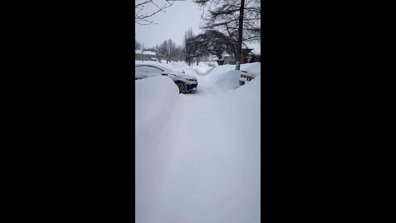 Toronto snow walk