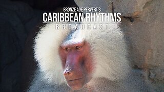 Ep 104 "Variety Guest Show" w/ Stone Age Herbalist • Caribbean Rhythms w/ Bronze Age Pervert