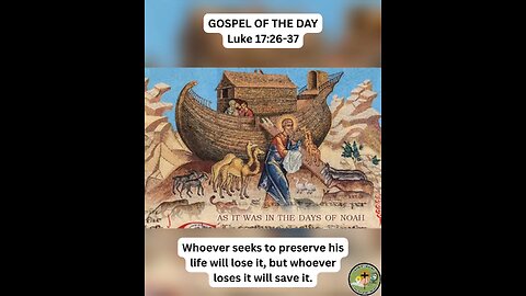 GOSPEL OF THE DAY (11/14/2025) Luke 17:26-37