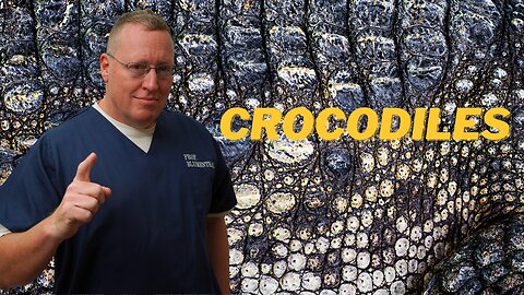 On Crocodiles