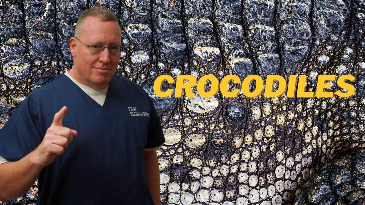 On Crocodiles