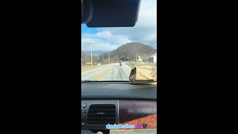 what's that a small leaf blower