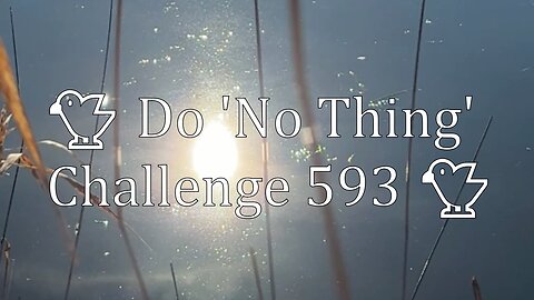 🐤 Do 'No Thing' Challenge 593 🐤 New Earth Creations #meditationshorts #donothing #mindfulness
