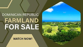 83,023 m2 (20.5 Acres) Farmland for Sale Less Than a Mile From the New Airport