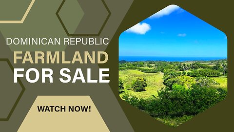 83,023 m2 (20.5 Acres) Farmland for Sale Less Than a Mile From the New Airport