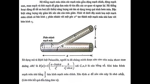 Toán 12: Hệ thống mạch máu chứa các mạch máu gồm động mạch chính, động mạch con