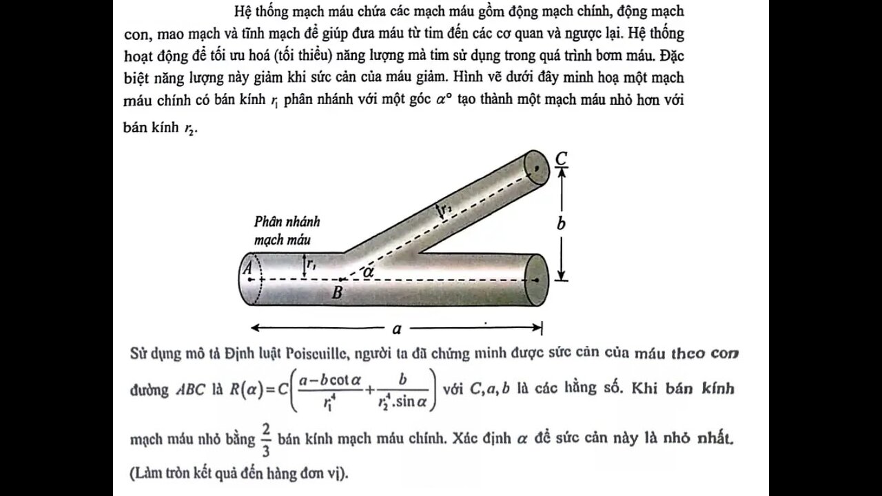 Toán 12: Hệ thống mạch máu chứa các mạch máu gồm động mạch chính, động mạch con