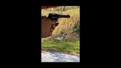 .22lr Revolver in action
