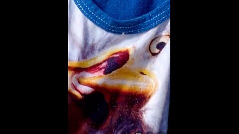 F1 Cadillac Driver Does Semi-Nude Shoot