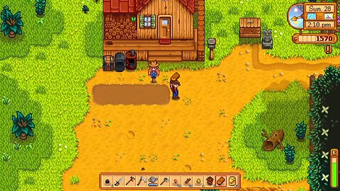 stardew valley
