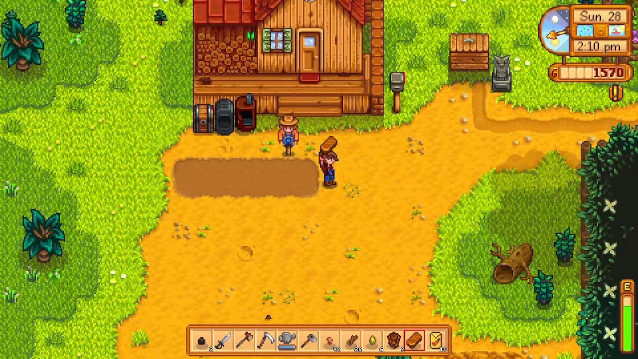 stardew valley