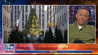 Gutfeld's Jokes You Missed