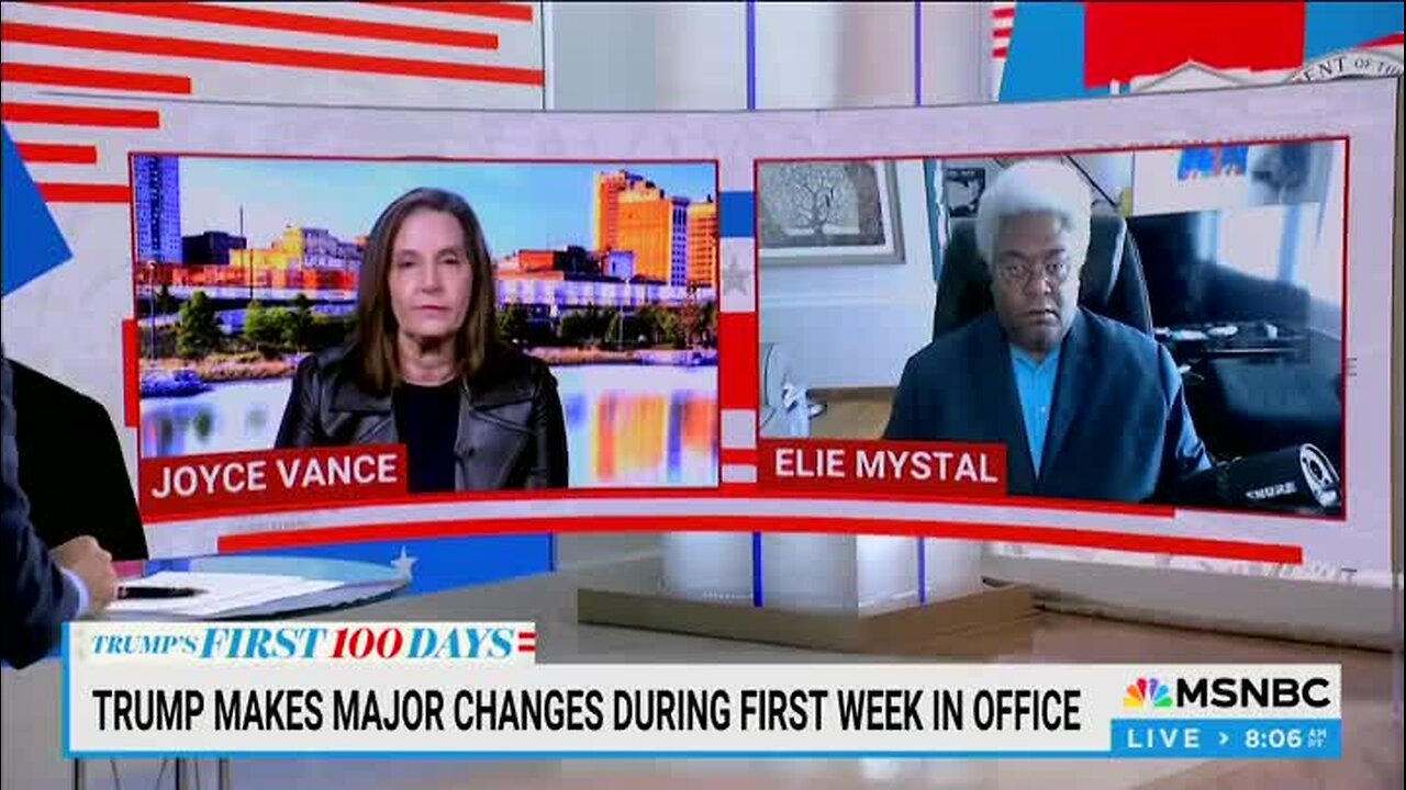 Elie Mystal: ‘Majority of White People Voted for This; This Is the Disgusting Version of America that People Want’