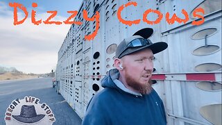 Cows in the Dark, DOT on My Nerves, Send Help!