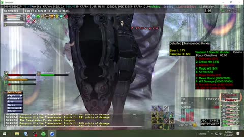 Playing Final Fantasy XI Online