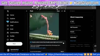 🟢 Juan O'Savin: Big Situation Update 1/8/26