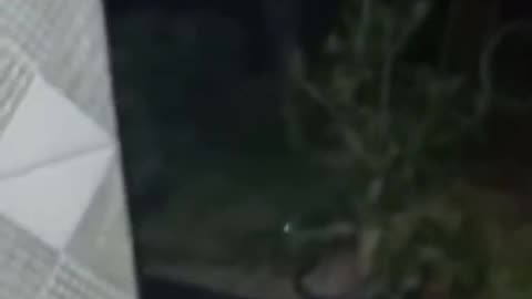 😱👻 OMG! What is That? | TheHauntingHour