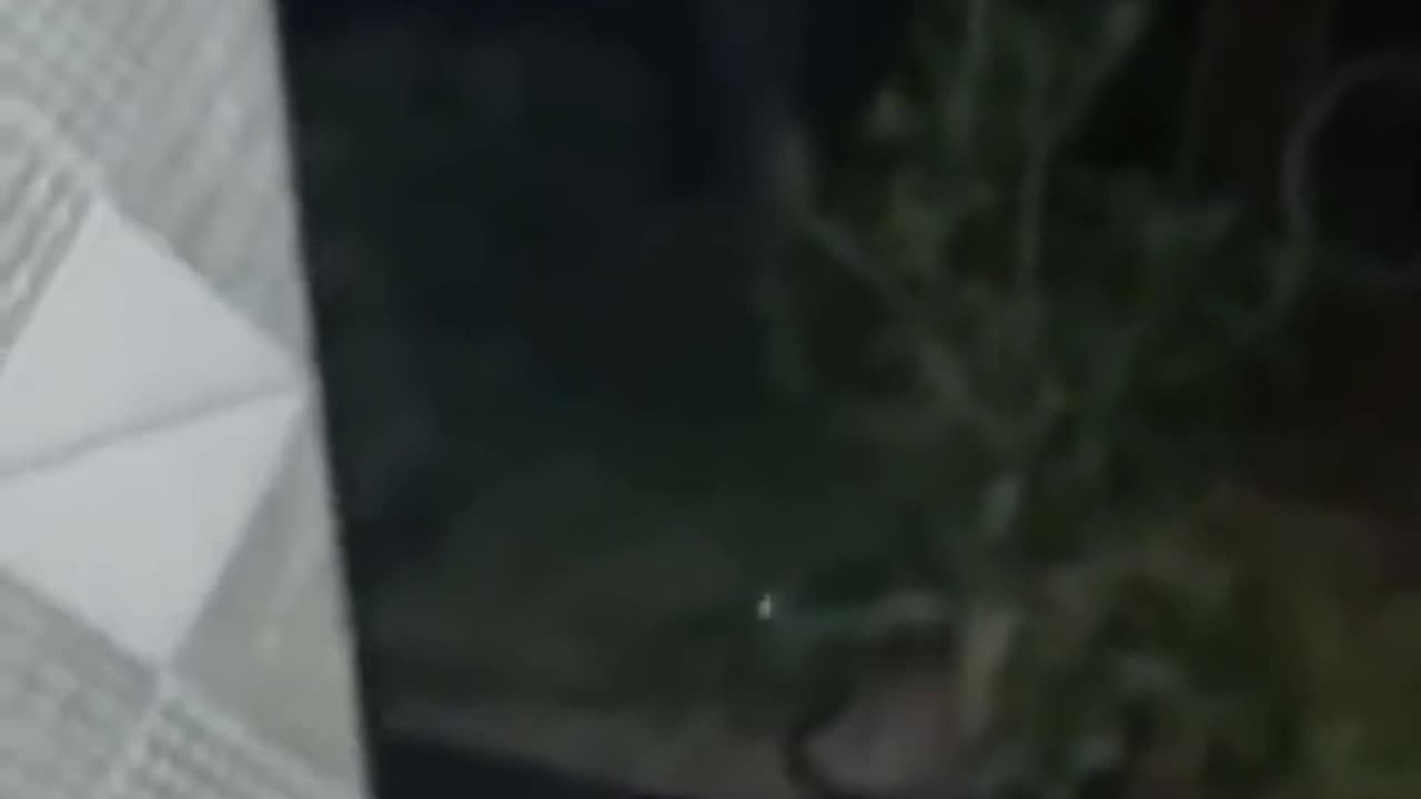 😱👻 OMG! What is That? | TheHauntingHour