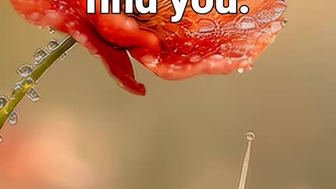 Stay a moment — let the calm find you #meditationaid #anxiety #relaxing #meditationmusic #healing