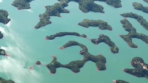 Peaceful Outdoor Views 🌳 Stunning Nature Scenes 🐦🌺 Amazing Nature Views 🍃 #Shorts