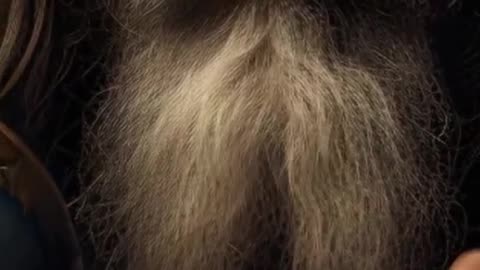 Fragmenty przepowiedni Nostradamusa