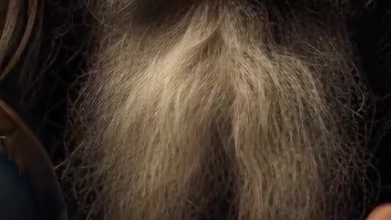 Fragmenty przepowiedni Nostradamusa