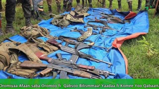 Gabaasa Tarkaanfii ONM-ABO Sadaasa 6-2025 itti dhiyaadhaa!