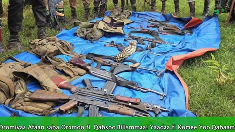 Gabaasa Tarkaanfii ONM-ABO Sadaasa 6-2025 itti dhiyaadhaa!