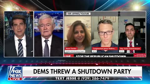 Former Speaker of the House Newt Gingrich UNVEILS the people CALLING THE SHOTS at the DNC
