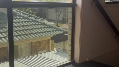 😱👻 Spirit Tapping on the Black Part of the Window Inside My Home | TheHauntingHour