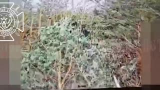 🚁💥 Ukraine Russia War | Fiber-optic drones destroy Ukrainian 2S1 Gvozdika in Sumy | RCF