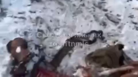 War in ukraine