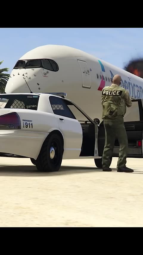 Police stop airplane hijacking! 😱✈️