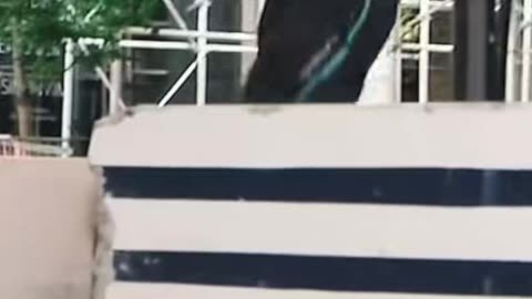 🤯🔥 You Have to See This! Supreme NYC Skater Dominates 2025 | SkateNation