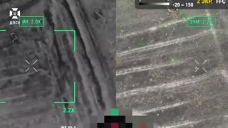 In the Kharkiv region, the Phoenix border guards are working hard and accurately: