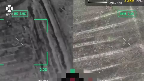 In the Kharkiv region, the Phoenix border guards are working hard and accurately: