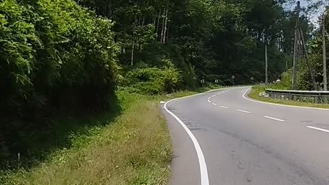 A quiet road through beautiful trees and mountains filled with the beauty of nature