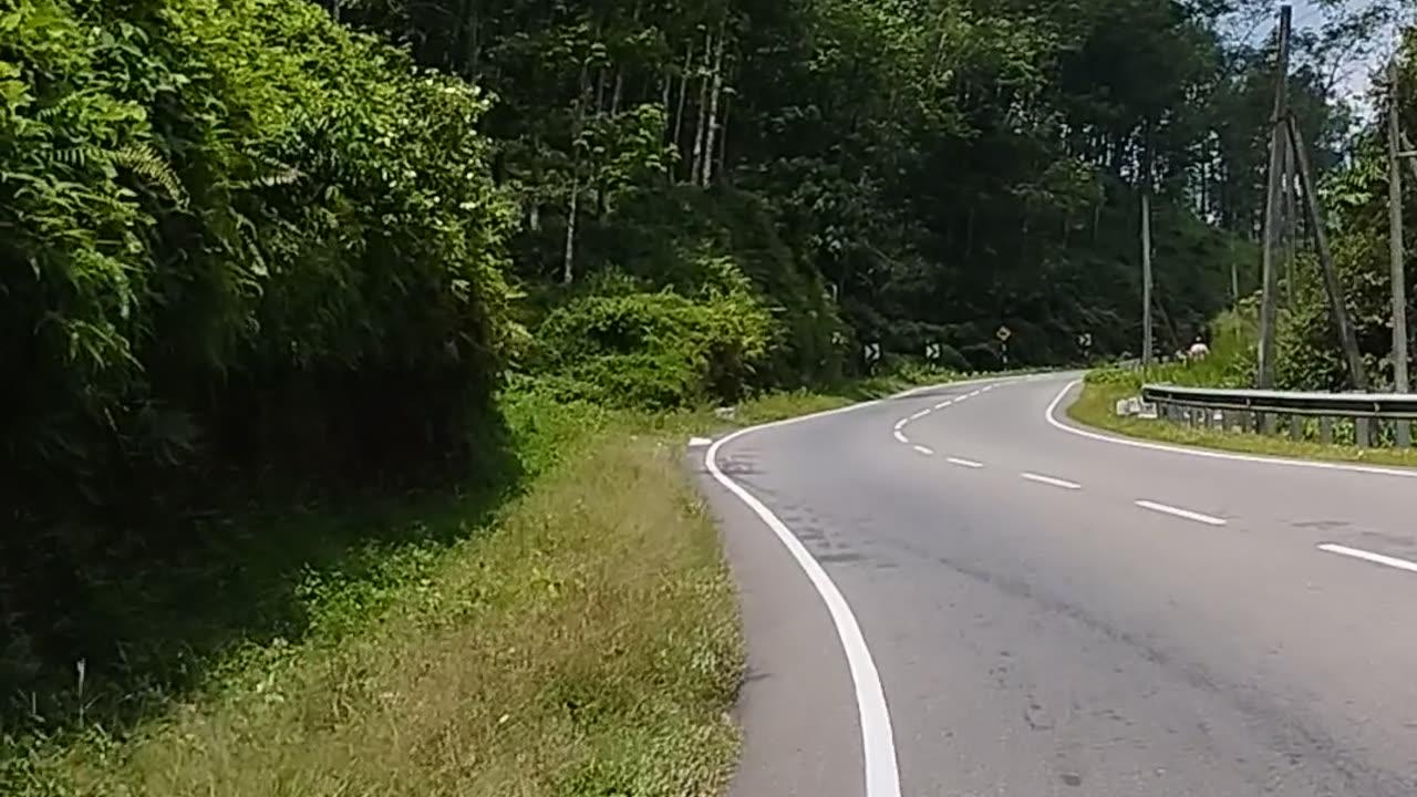 A quiet road through beautiful trees and mountains filled with the beauty of nature