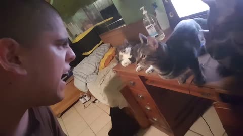 Pointless Pet Video 7: Get Off!!! (August 27, 2017)