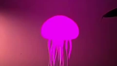 Smart jelly fish