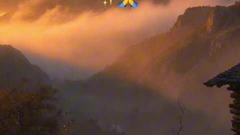 🙏✨Evangelio de hoy Miércoles, 3 de Diciembre del 2025✨🙏