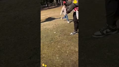 A selection of funny moments with animal #17