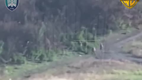 Brutal Drone Strikes From Wormbusters That You Don't Want to Miss