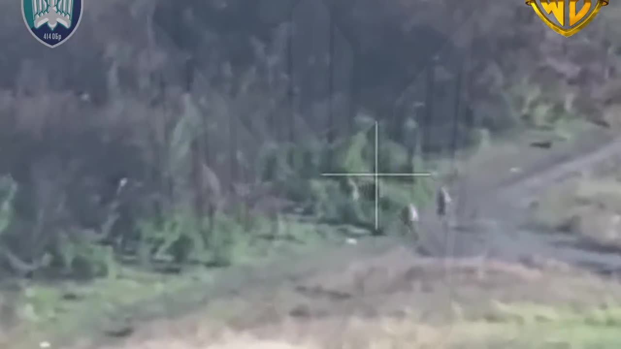 Brutal Drone Strikes From Wormbusters That You Don't Want to Miss