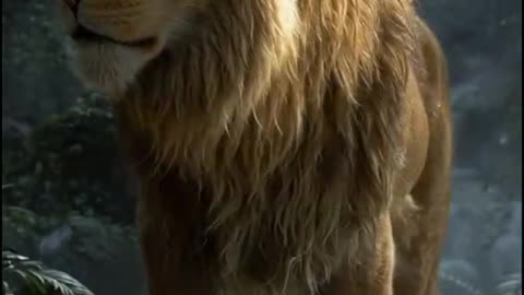 You Can Have 1,000 Problem 🇬🇧