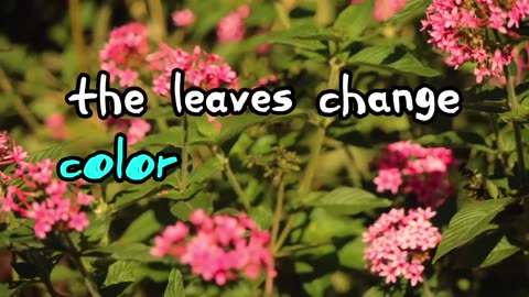A New Season Begins