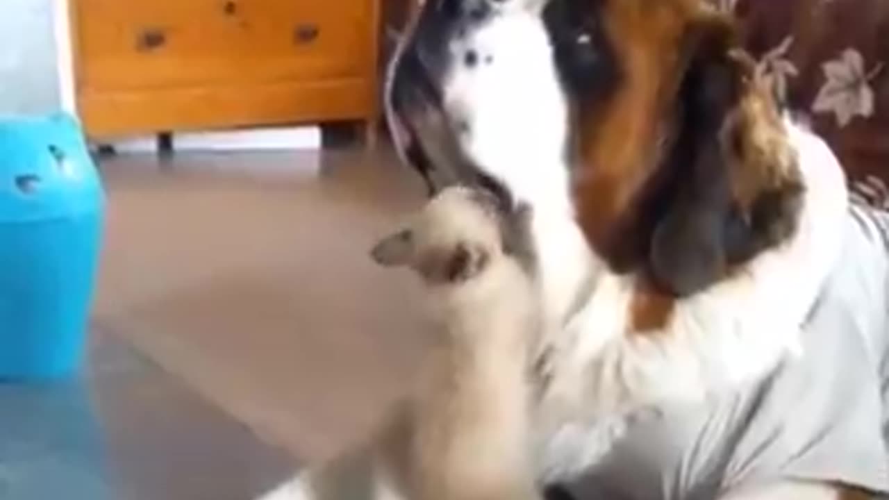 Lessons were learned that day