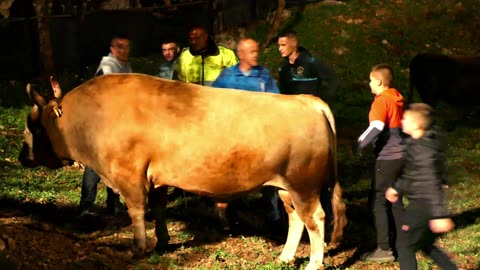 Finale Srednje Kukan od Kumana vs Medonja od Goje i Sinova Šestanovac 2025